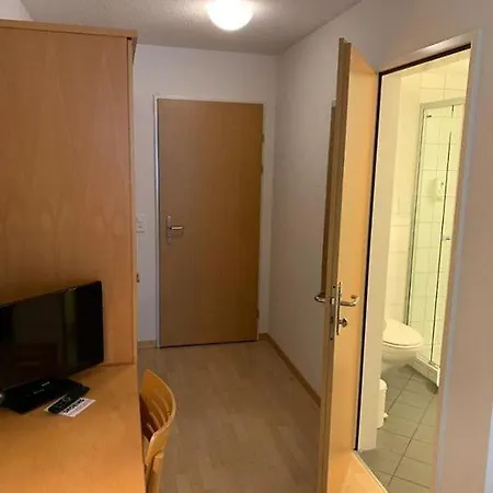 Hotel Rebstock 2*