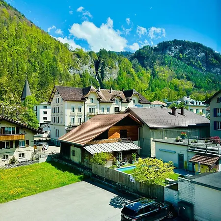 Rebstock Meiringen