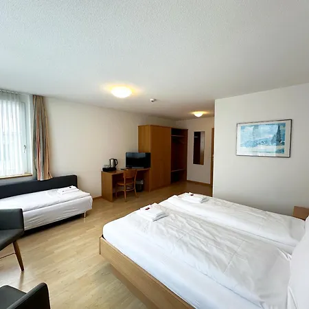 Hotel Rebstock 3*