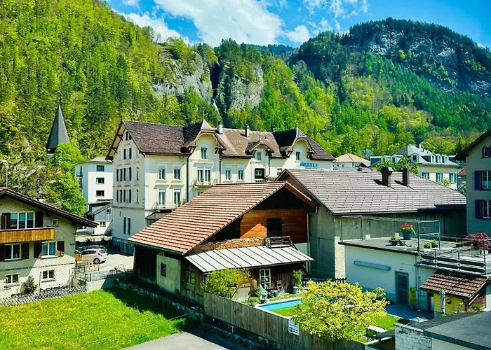 Rebstock Meiringen