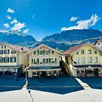 Rebstock Otel Meiringen